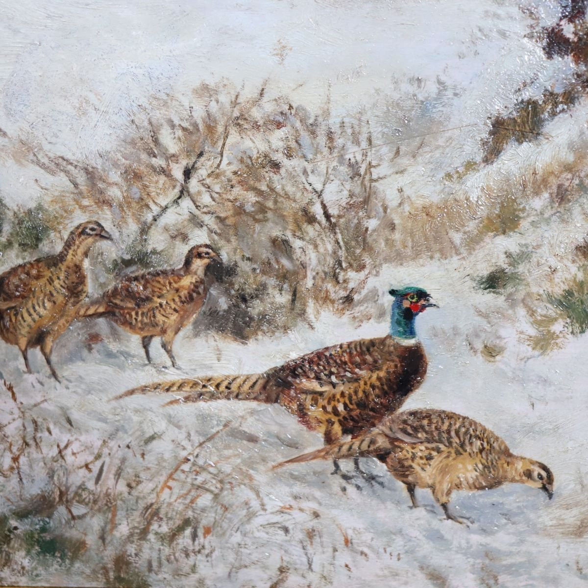 Fagiani nella neve, Olio su tavola, Firmato Wilhelm Buddenberg-photo-4