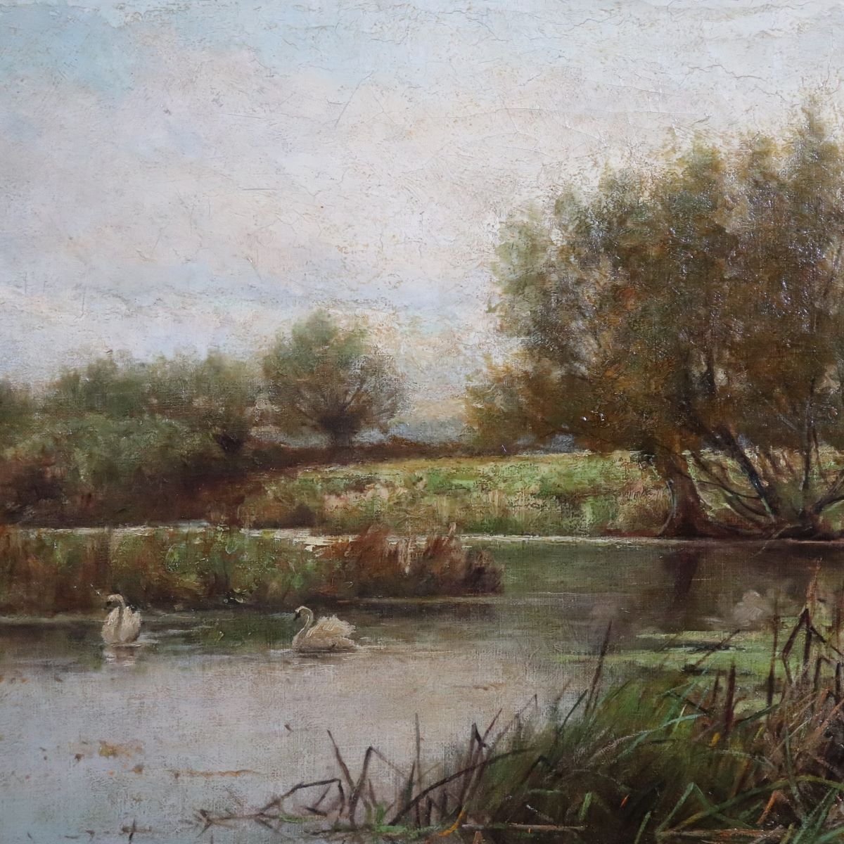 Paesaggio con cigni, dipinto ad olio su tela, scuola inglese, XIX secolo-photo-4
