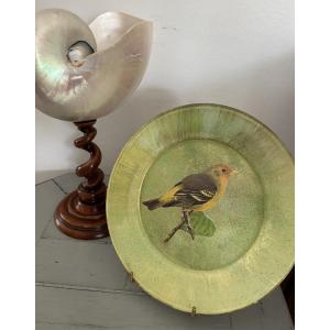  Original Cut-out Plate Set Under Glass With A Bird Motif 3
