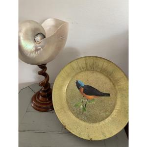 Original Cut-out Plate Set Under Glass With A Bird Motif, Size 6