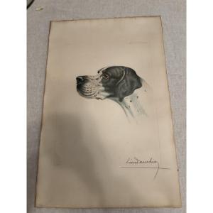Braque d'Auvergne Or Pointer Hunting Dog By Leon Danchin, Early 20th Century, Lithograph