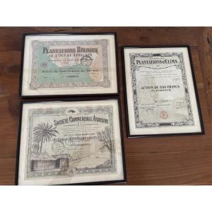 Interesting Set Of 3 Old Framed Shares From Colonial Africa, Dating From The 20th Century.