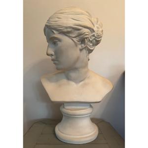 Antique Plaster Bust In The Classical Style, 20th Century, Plaster In Perfect Condition