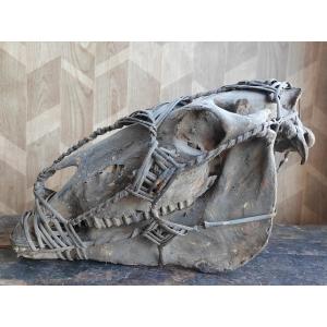 Guardian Horse Skull With Wicker Halter Congo Collection Gérard Tiry 