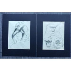 Albin De Buncey Monkeys Jouve Sandoz Art Deco Worst Animal Drawings