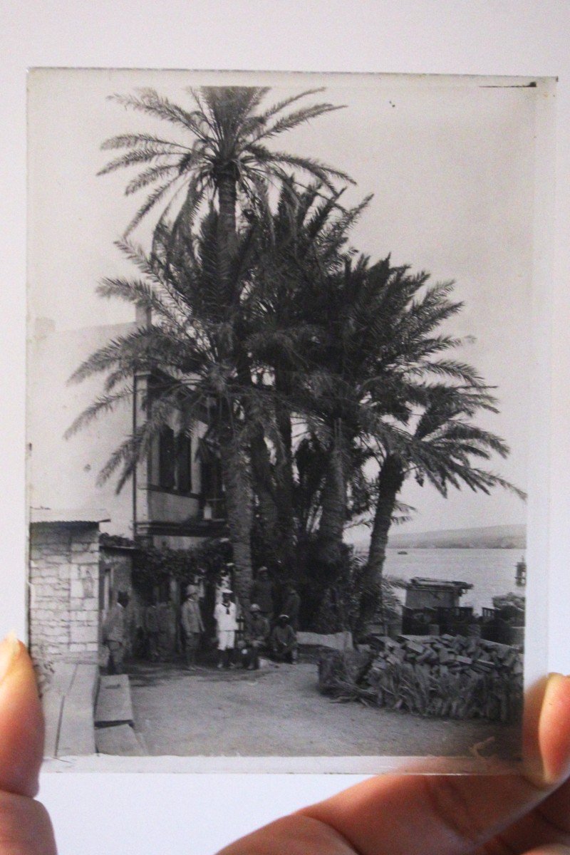 Lastre di vetro fotografiche vintage, fine 800' inizio 900' di colonia Tedesca-photo-2