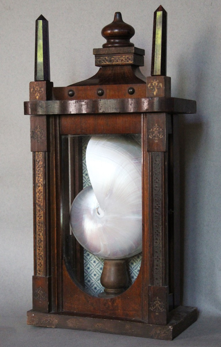 Mater Abyssi n1 -Antica teca in legno con Nautilus Dipinto a Mano.-photo-5