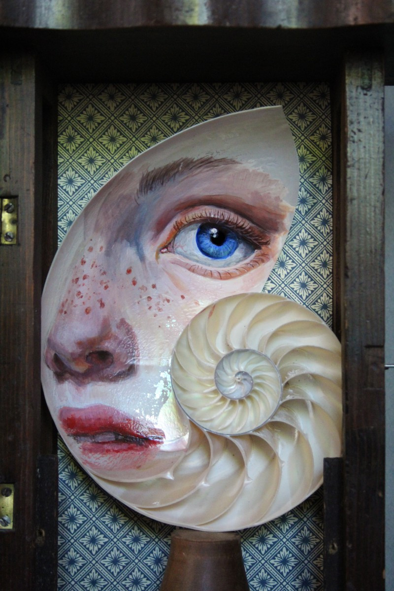 Mater Abyssi n1 -Antica teca in legno con Nautilus Dipinto a Mano.-photo-7
