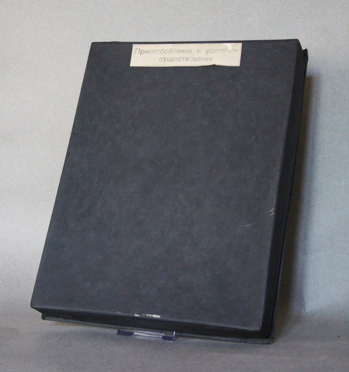 Teca Didattica Vintage – Modello Anatomico delle zampe dei Mammiferi URSS 1981-photo-3