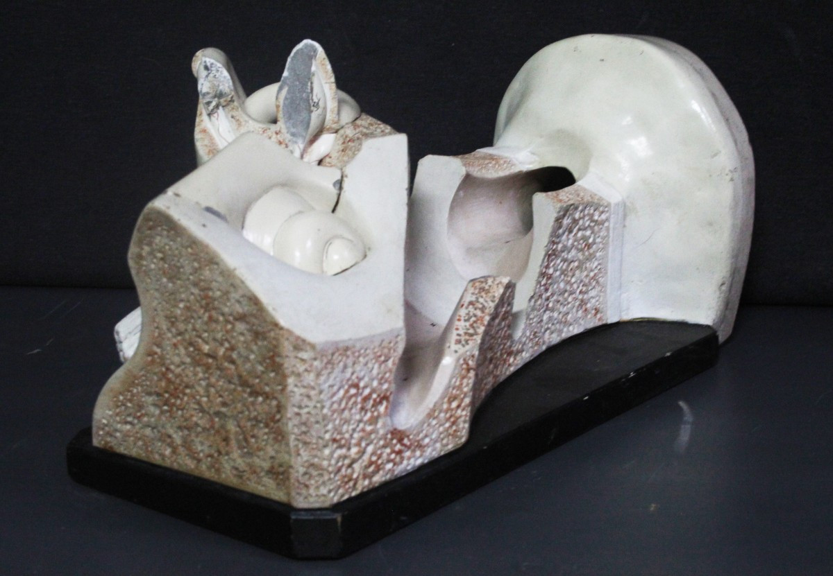 Orecchio, modello anatomico vintage prima metà XX, Paravia-photo-4