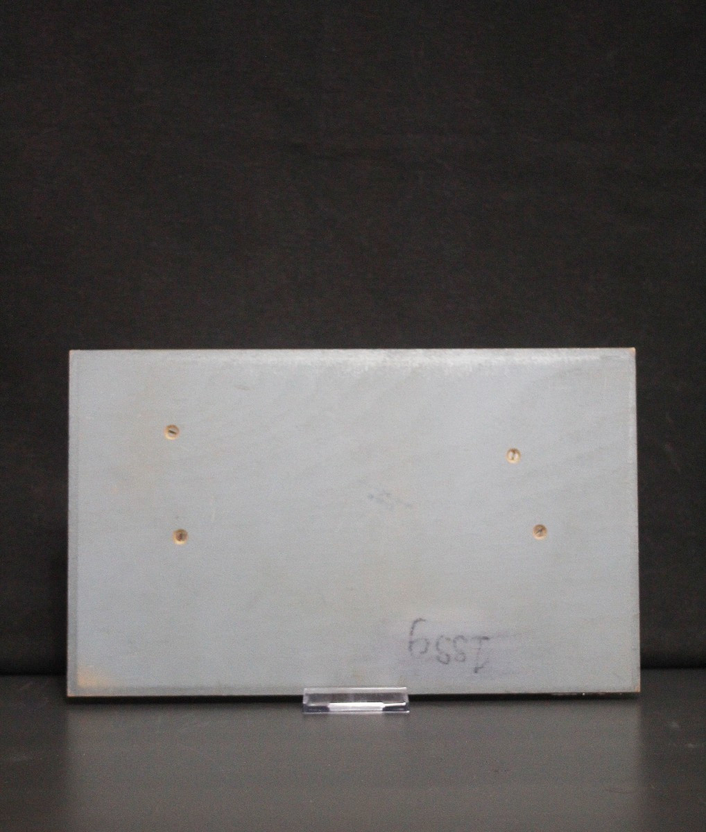 Modello didattico vintage Somso, cellule vegetali-photo-4