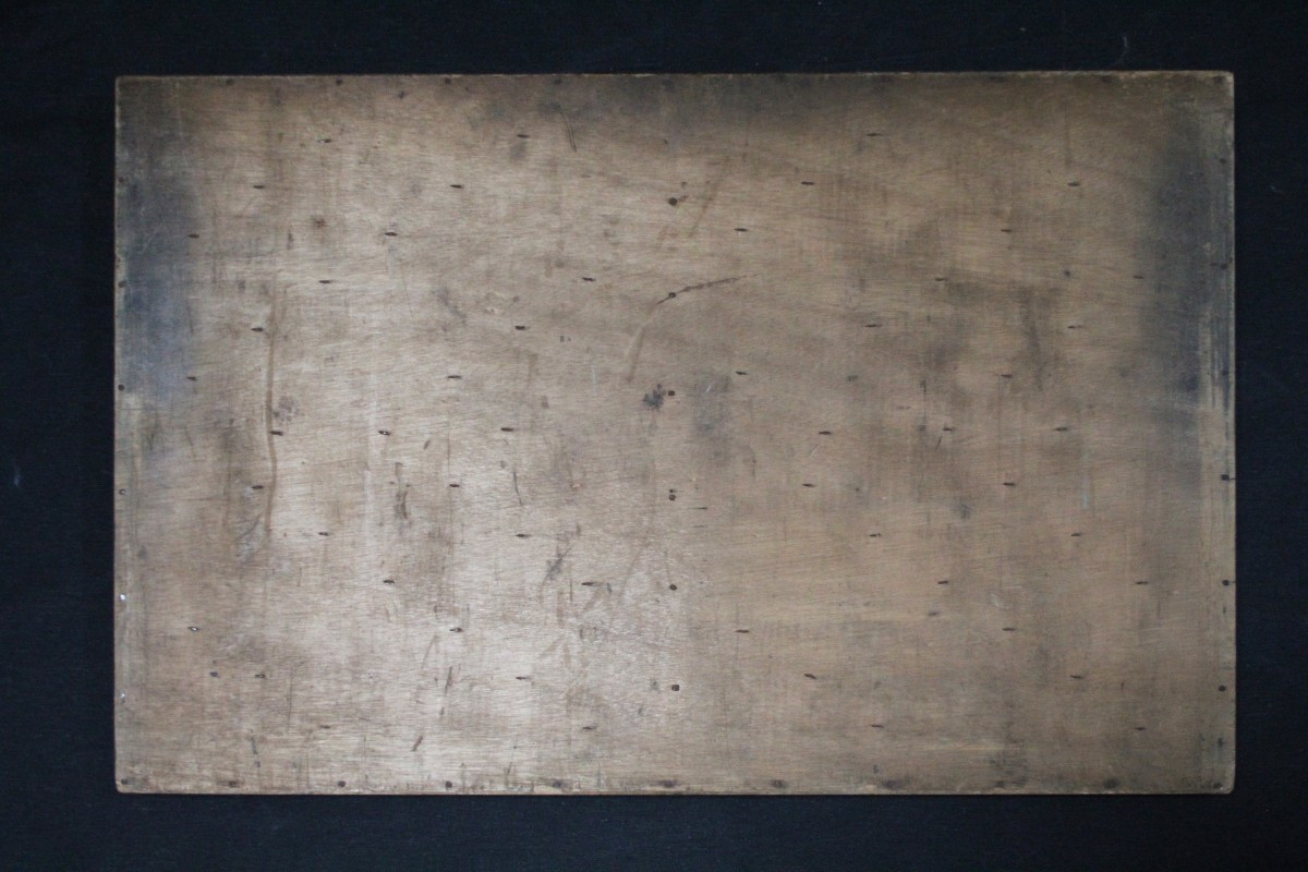 Grande collezione di conchiglie in cassetto tipografico vintage-photo-8