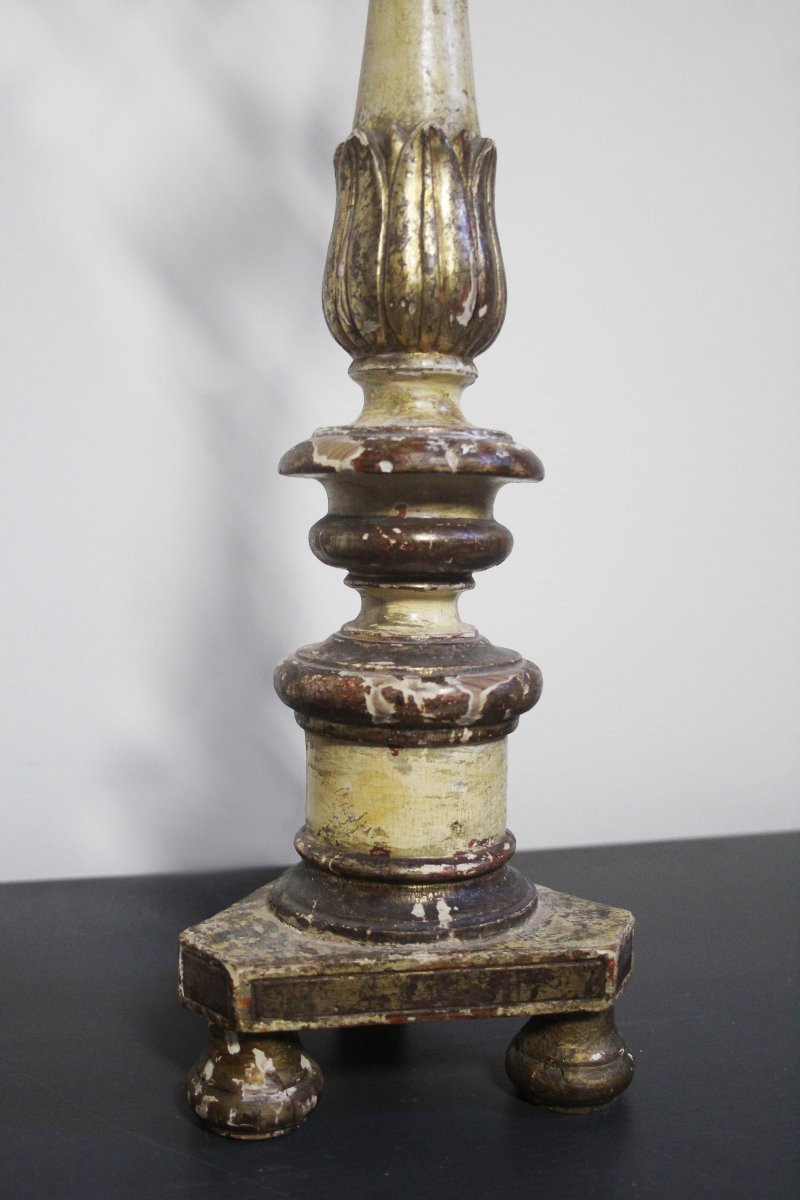 Gorgonia nera su piedistallo-photo-3