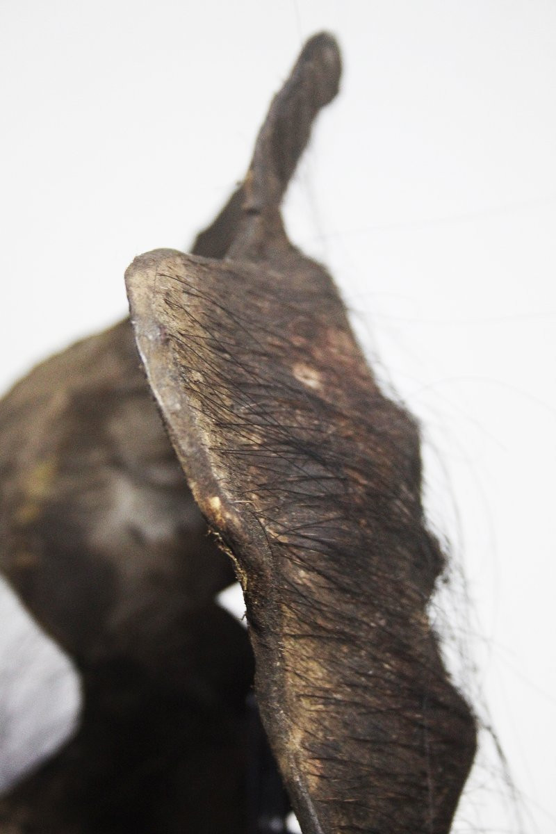 Maschera sciamanica dall'Himalaya, in pelle di yak.-photo-2