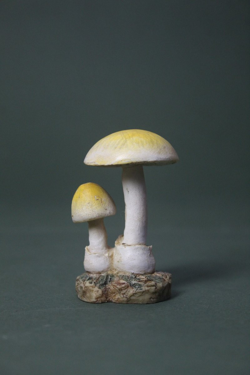 Collezione vintage di 30 Modelli botanici di Funghi-photo-3