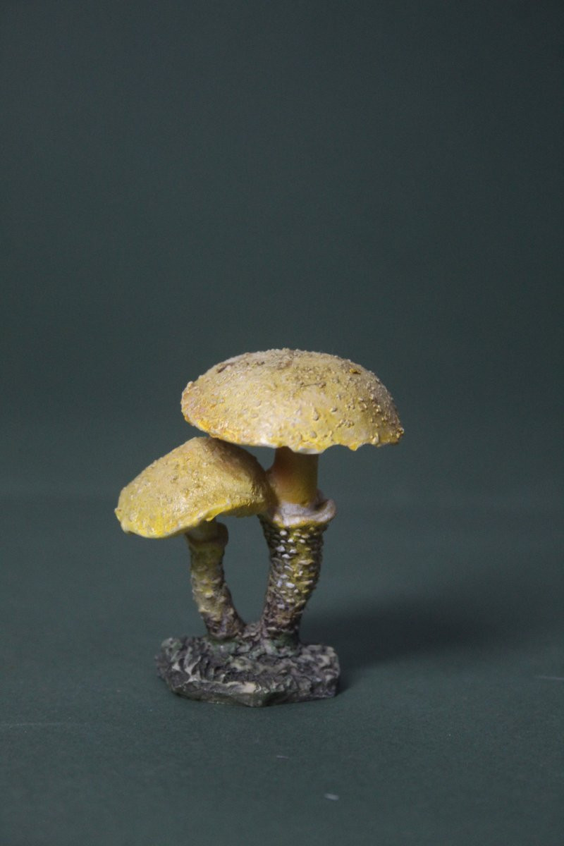 Collezione vintage di 30 Modelli botanici di Funghi-photo-8