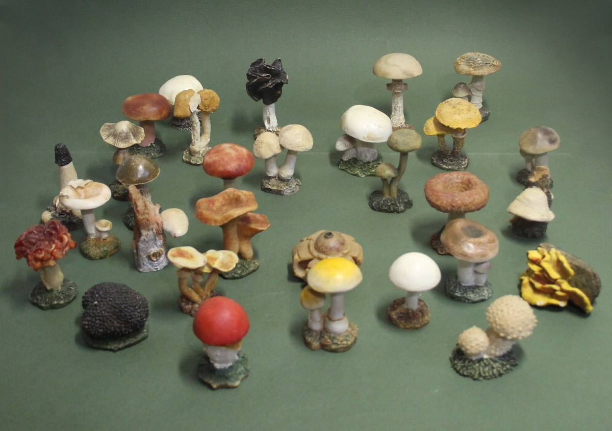 Collezione vintage di 30 Modelli botanici di Funghi