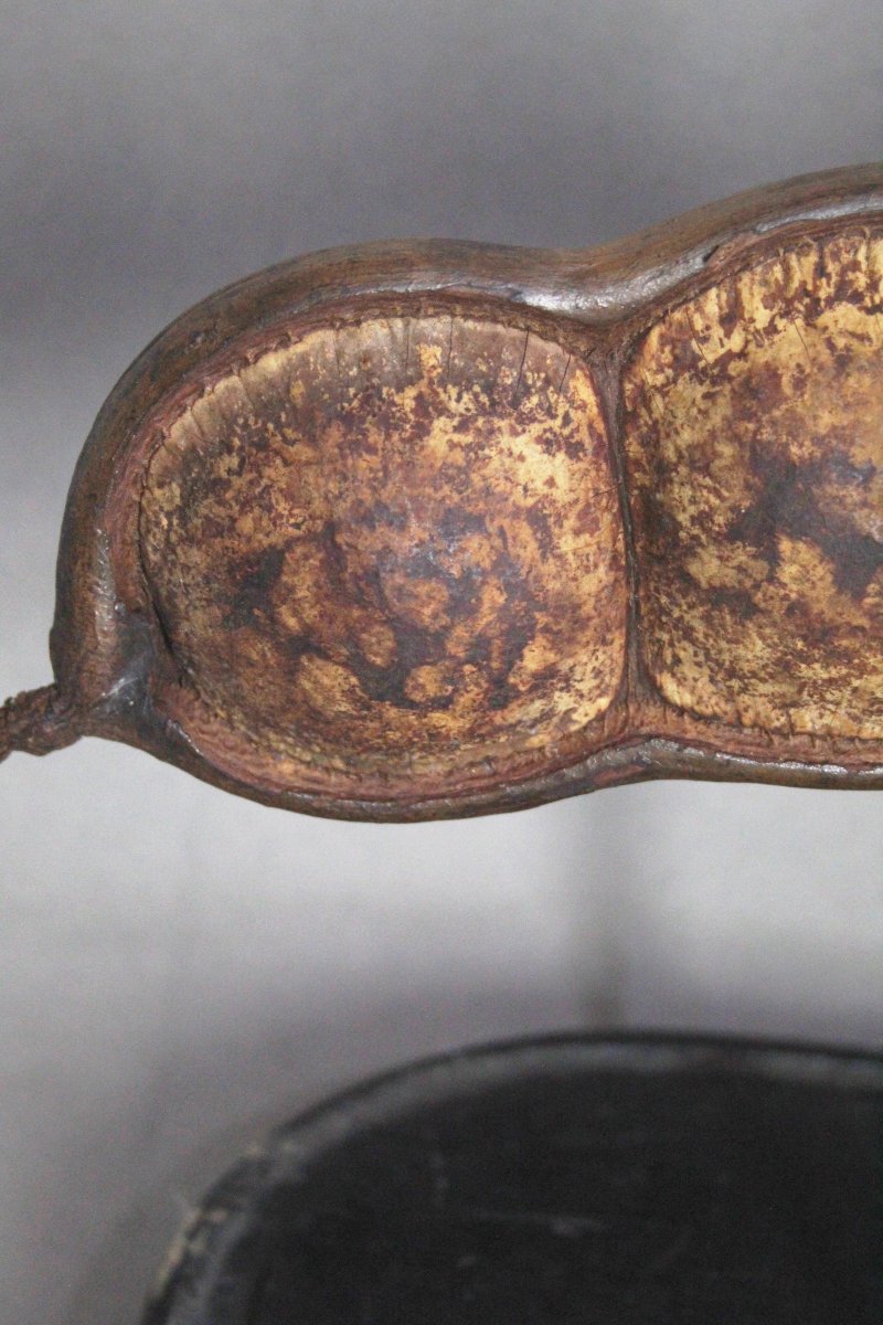 Entada gigas-photo-2