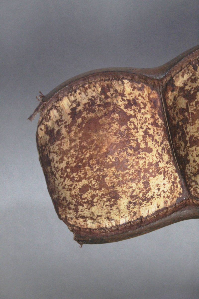 Entada gigas-photo-1