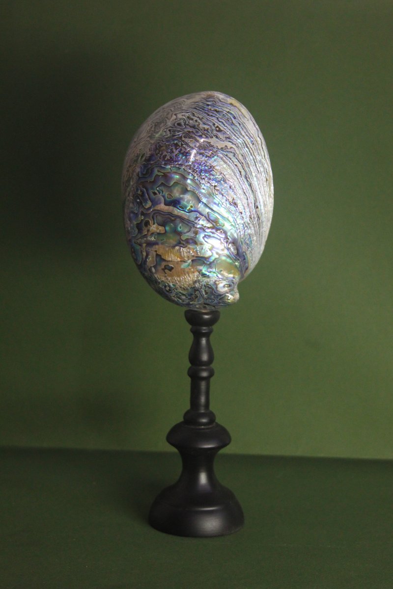 Abalone madreperlaceo, su piedistallo personalizzato-photo-3