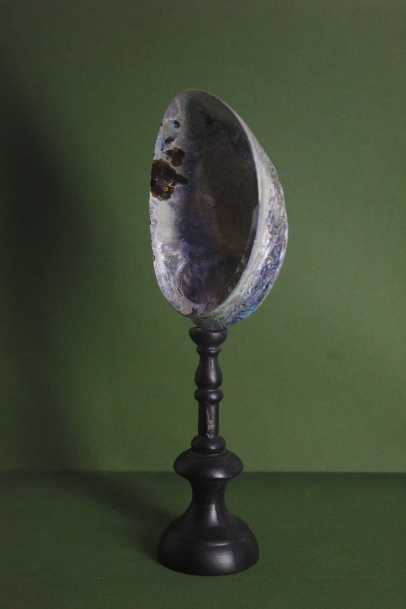 Abalone madreperlaceo, su piedistallo personalizzato-photo-3