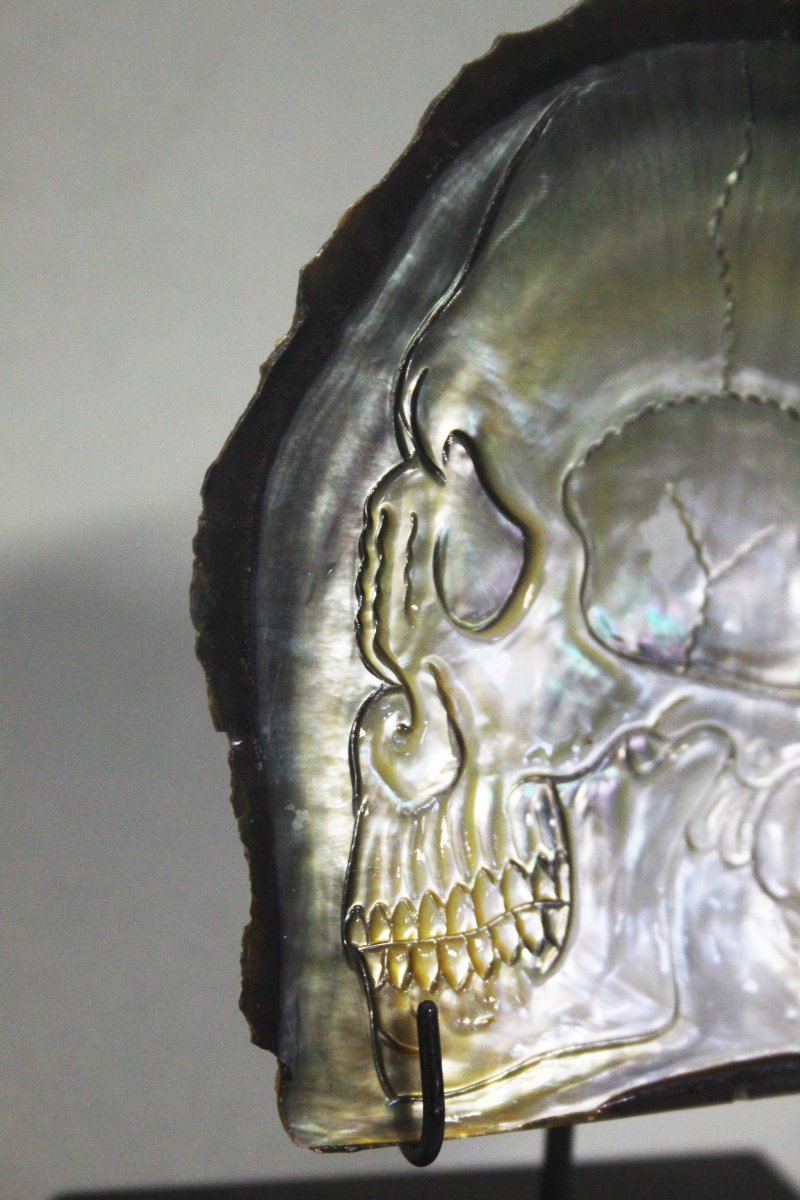 Teschio inciso su conchiglia di madreperla-photo-2