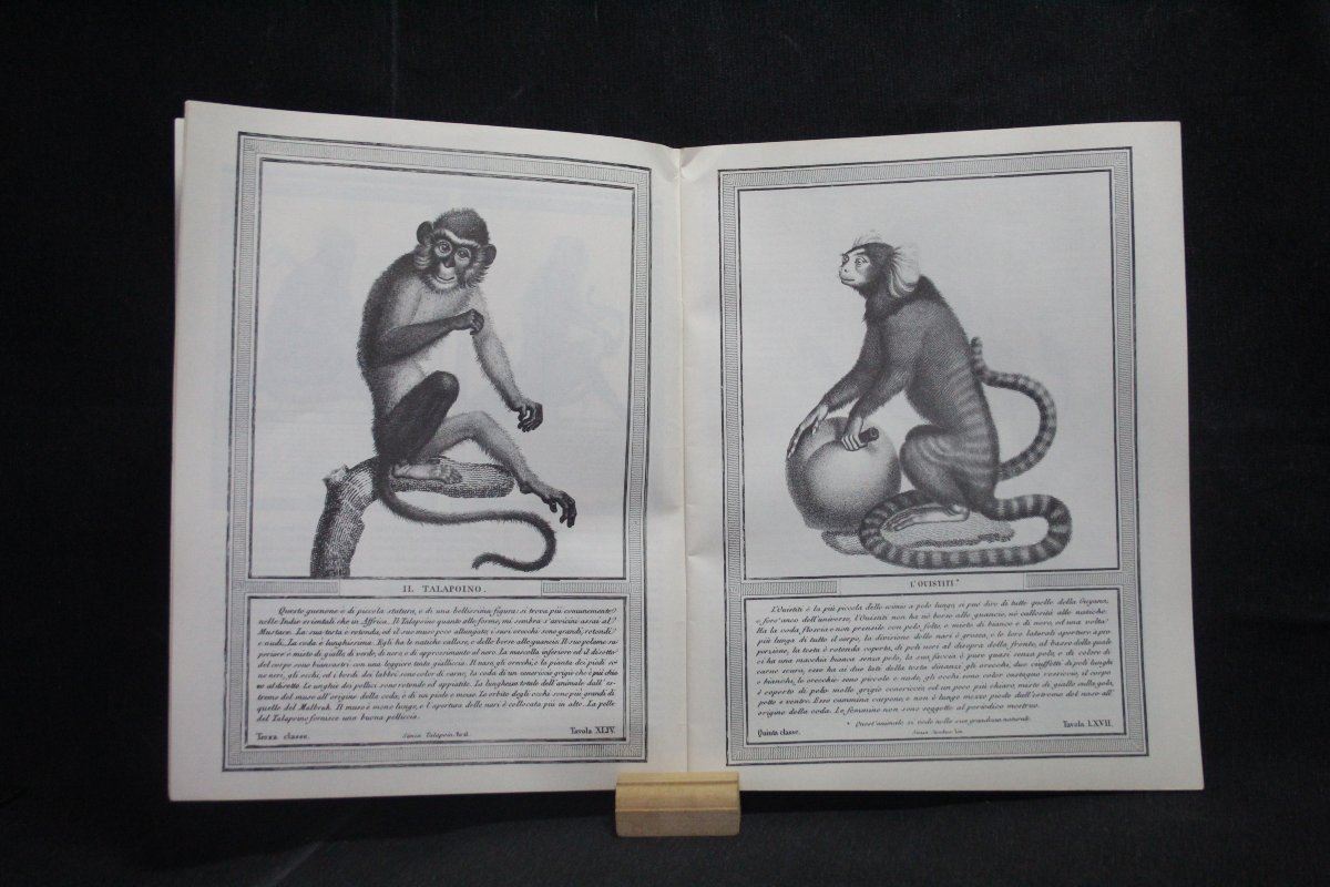 Collezione Gazzetta del Bibliofilo-photo-2