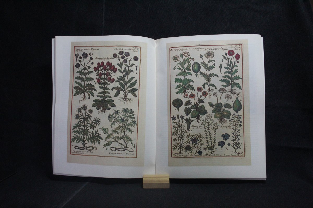 Collezione Gazzetta del Bibliofilo-photo-3