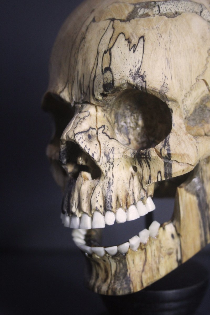 Vanitas, legno di tamarindo e osso-photo-4