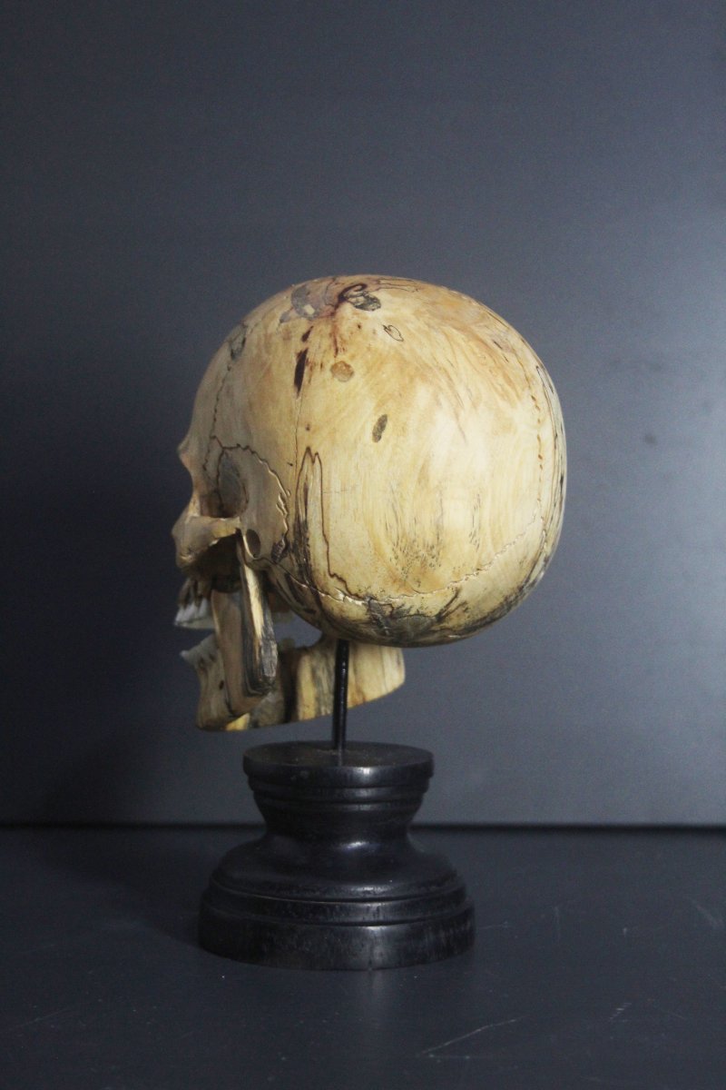 Vanitas, legno di tamarindo e osso-photo-1