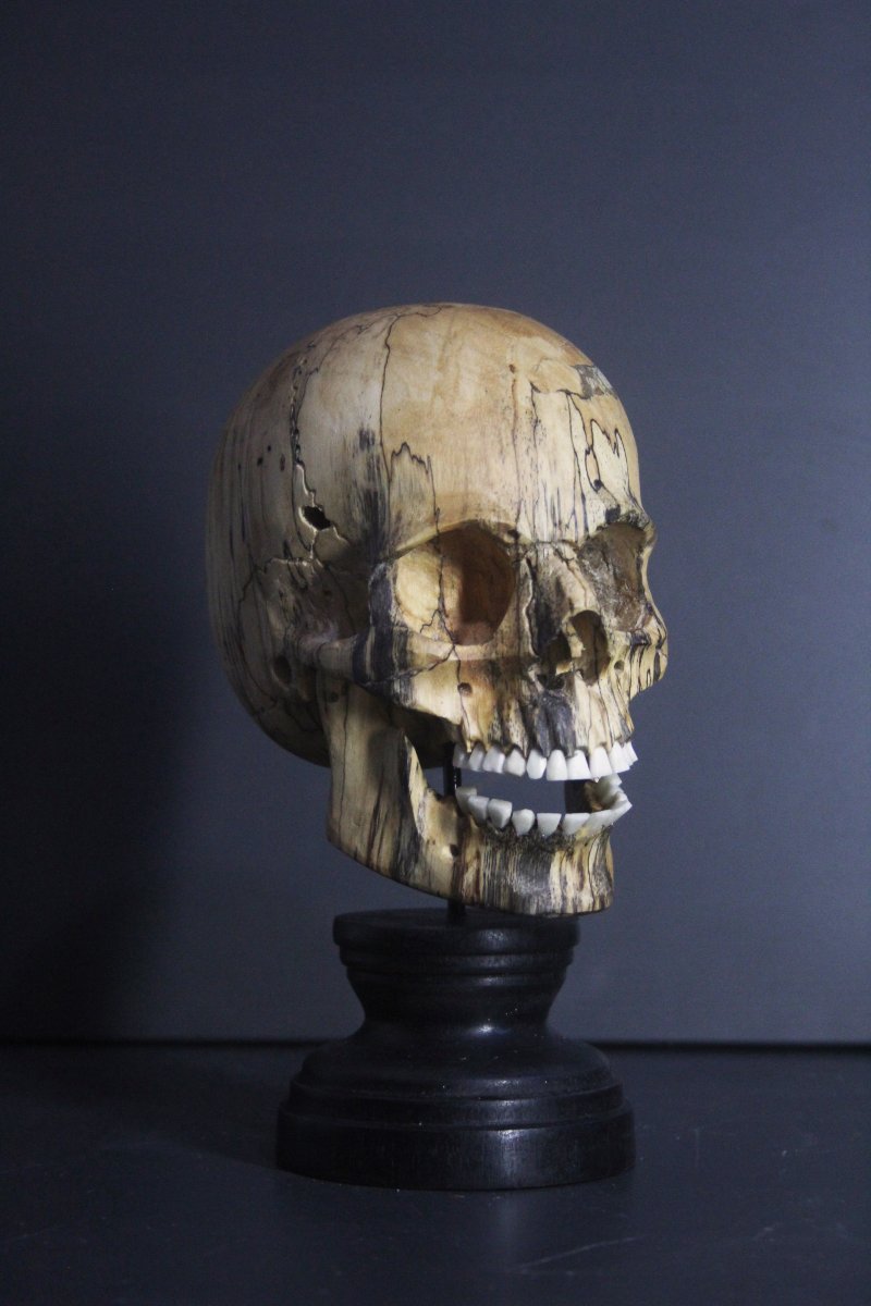 Vanitas, legno di tamarindo e osso