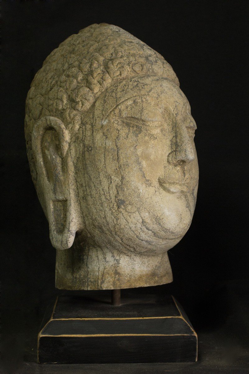 Testa di Budda in pietra-photo-4