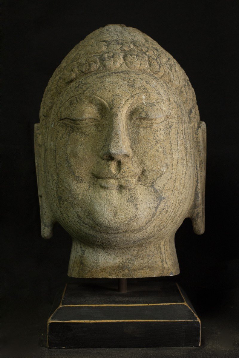 Testa di Budda in pietra