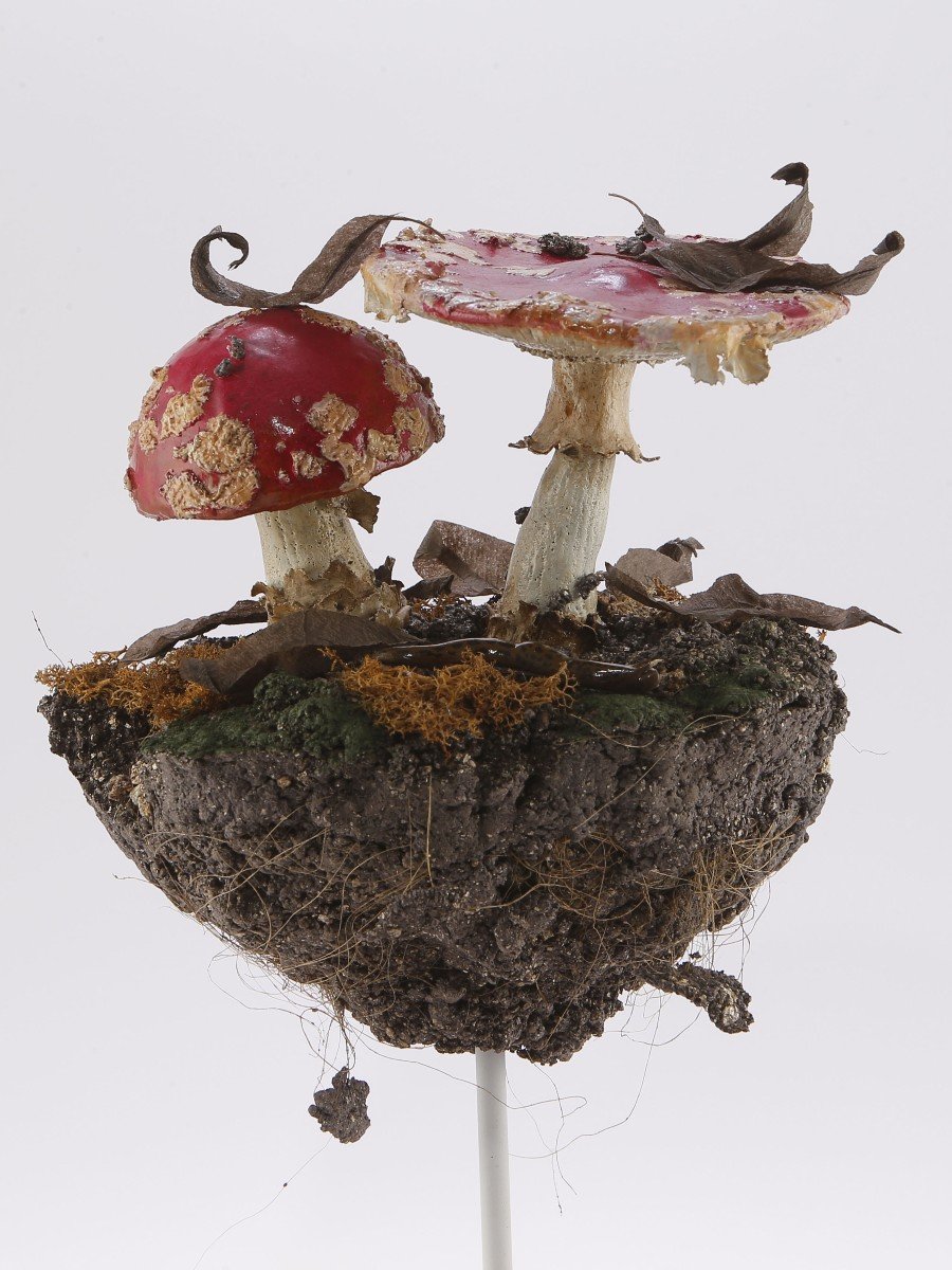 UNDERBRUSH  N°03-photo-2