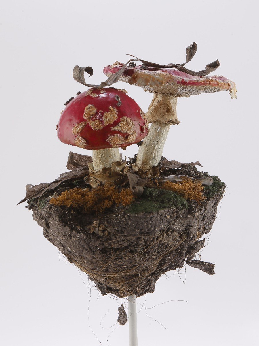 UNDERBRUSH  N°03-photo-3