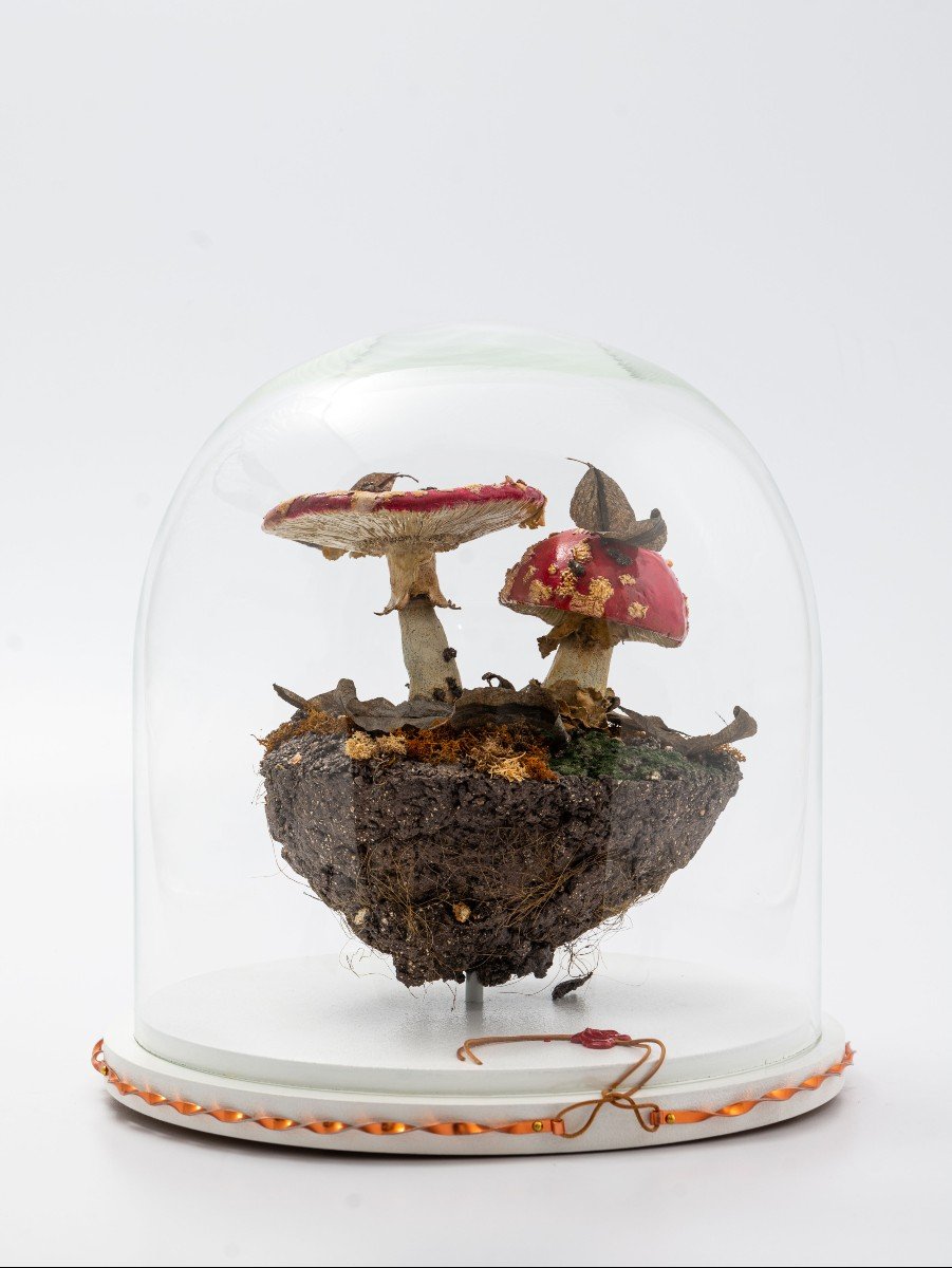 UNDERBRUSH  N°03