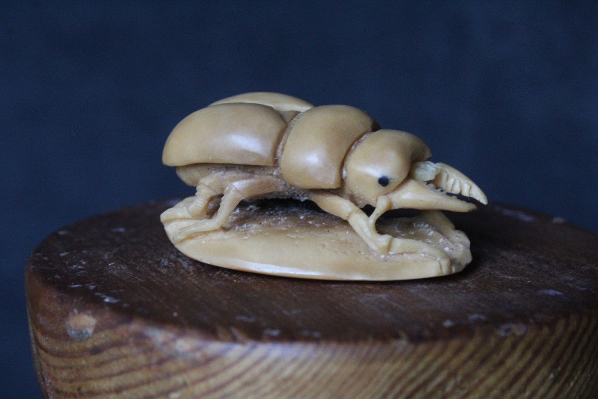 Netsuke Giapponese firmato, intagliato in Avorio Vegetale - Noce Tagua