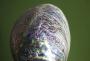 1823623-alb-6aac4cd951a9f.jpg