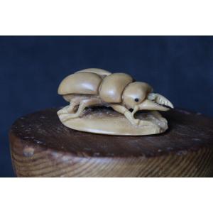 Netsuke Giapponese firmato, intagliato in Avorio Vegetale - Noce Tagua