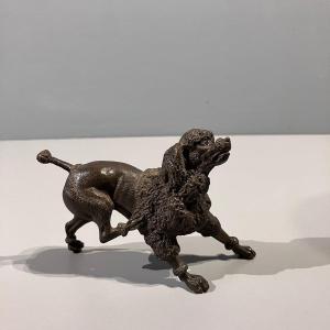 Royal Bronze Poodle 19th Century