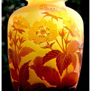 Beautiful Gallé Vase With Anemones, Fine Engraving, Perfect, Daum Era 1900