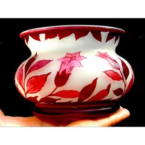 Original Etched Glass Bignone Cup By Arsall, Circa 1920, Daum Galle Devez Era