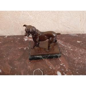 Charles Paillet 1871-1937 Small Bronze Dog On A Marble Base 