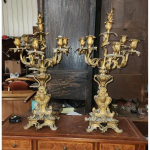 Pair Of Large Louis XV Bronze Candelabra From The Napoleon III Period With 6 Arms Of Light