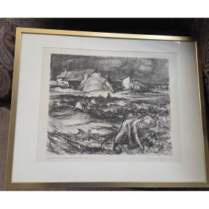 Drawing By Roger Marage (1922/2012) Harvesting Potatoes In Lorraine