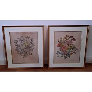 Pair Of Flower Lithographs By Elisa Champin (french Watercolorist)