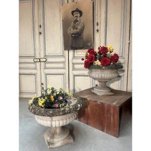 Pair Of Twentieth-century Reconstituted Garden Basins