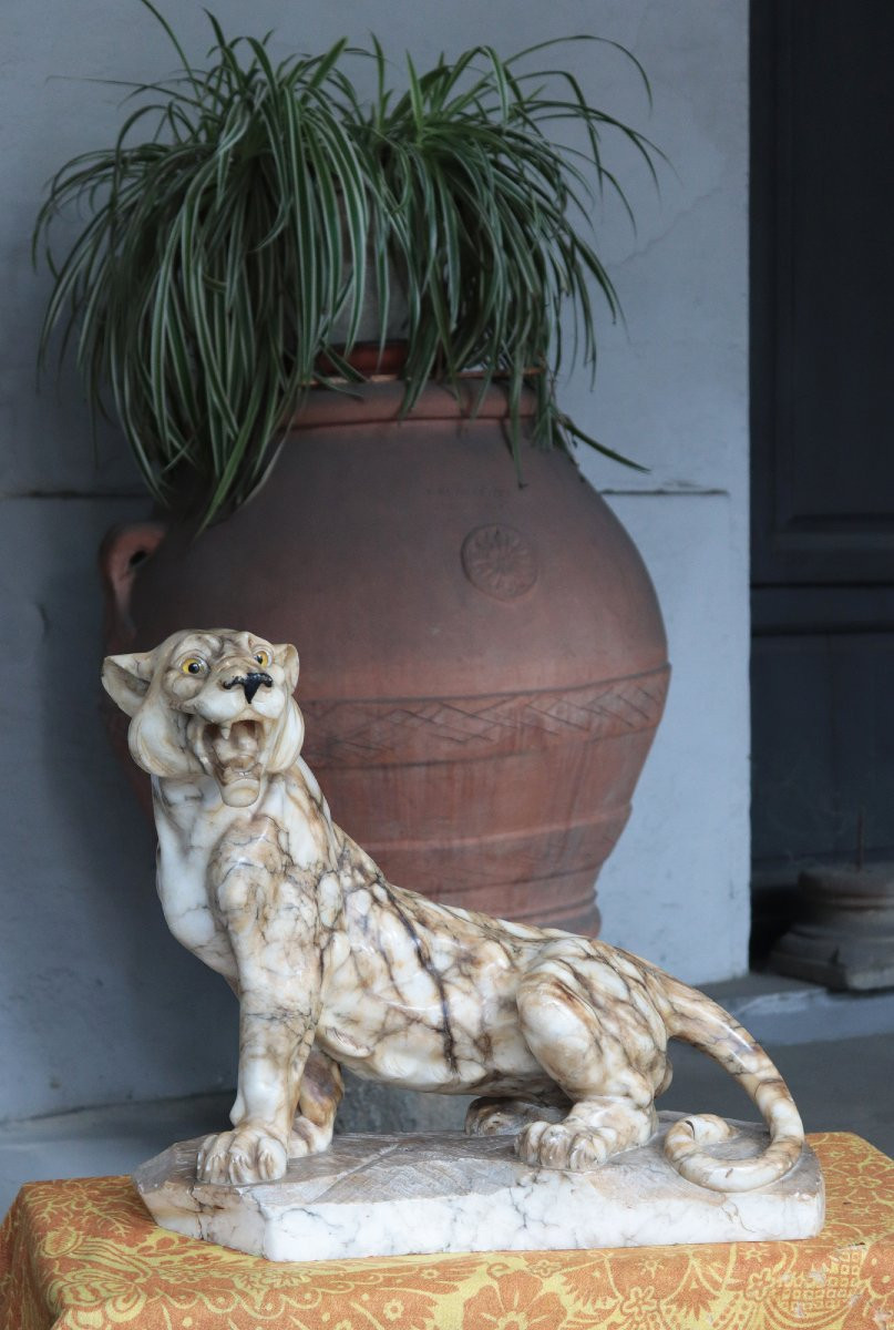 Scultura animalier in alabastro: Pantera, inizi '900-photo-2