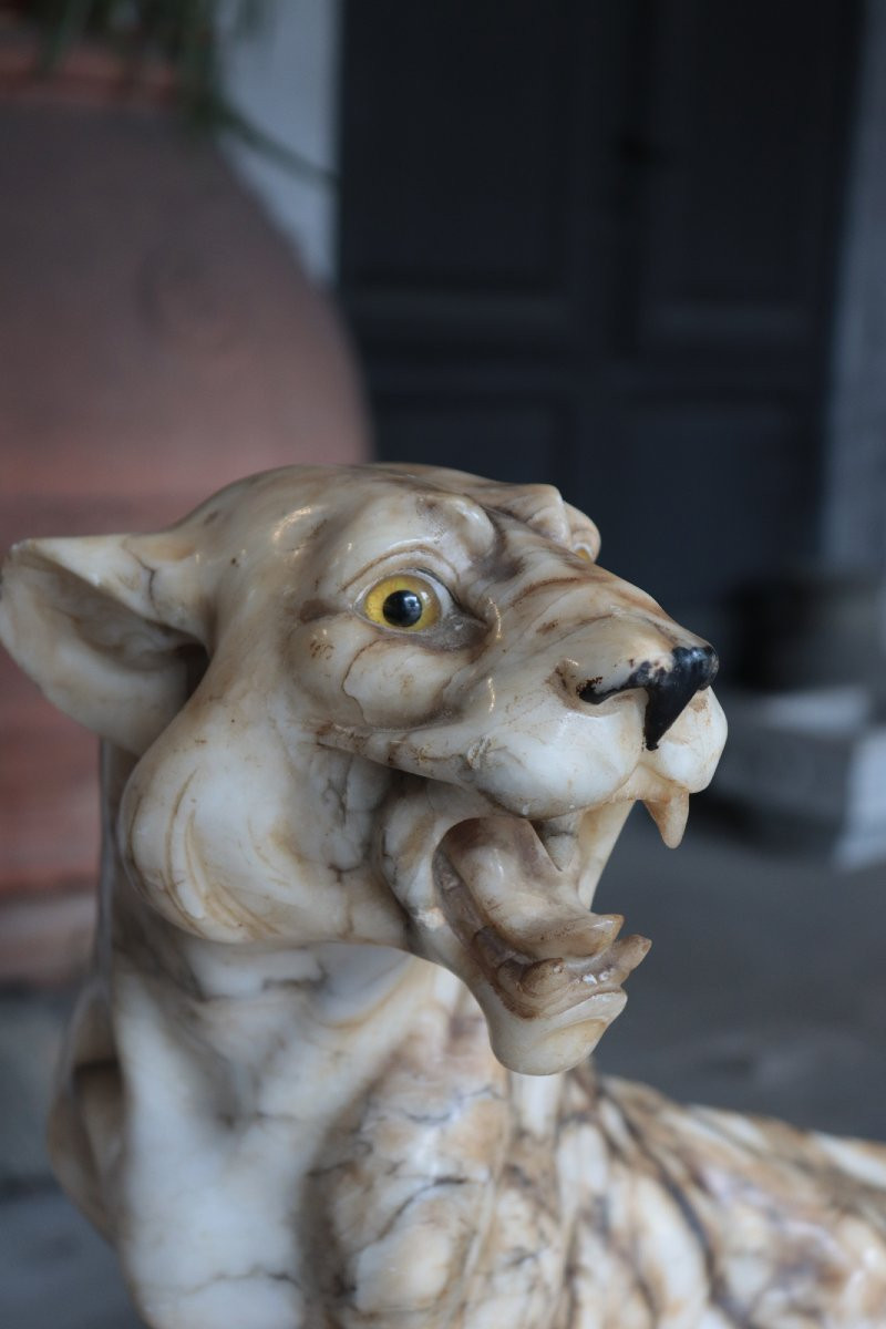 Scultura animalier in alabastro: Pantera, inizi '900-photo-4