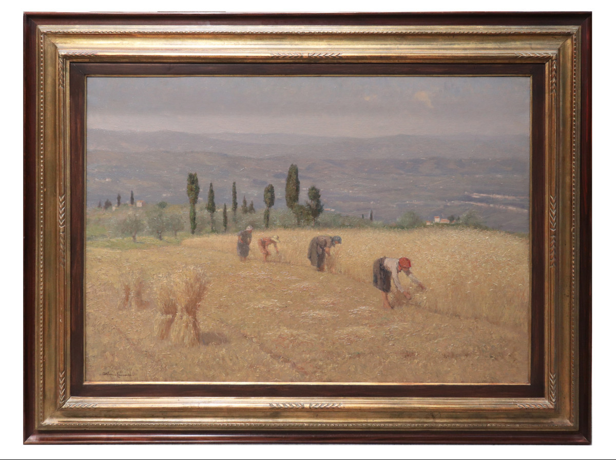 Alberto Cecconi (Firenze 1897-1971) - Raccolta dell'avena